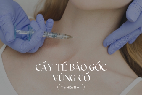 Cấy Tế Bào Gốc Vùng Cổ